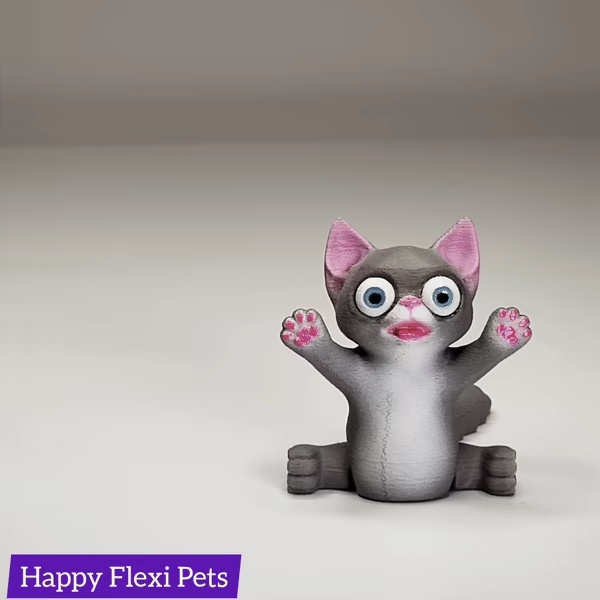 Gatos fantasma