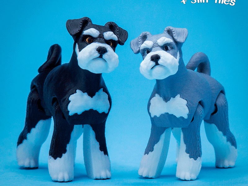 Schnauzer