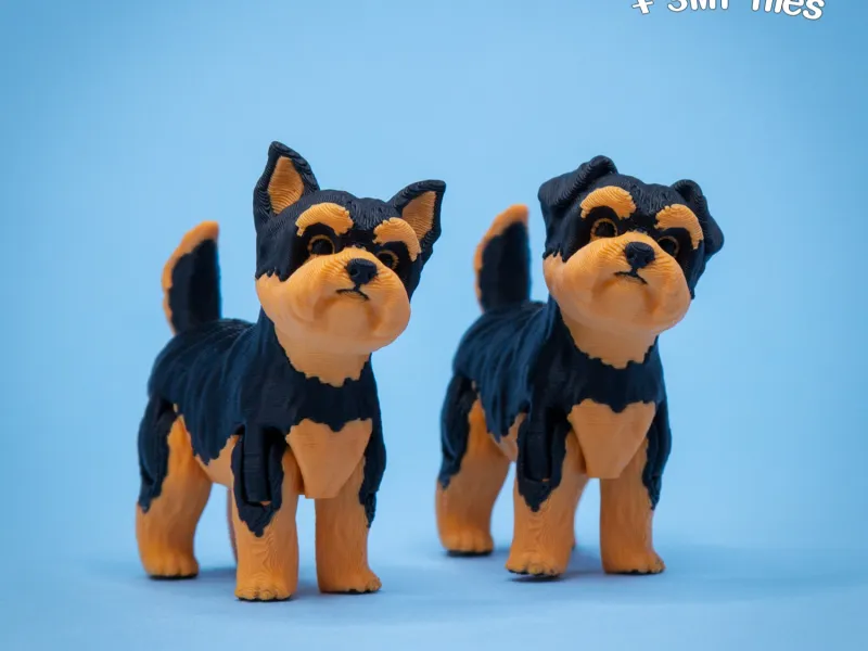 Yorkshire Terrier